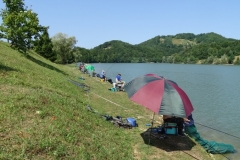 DSC04508